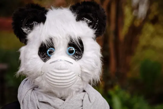 Cabaret Club Casino Support